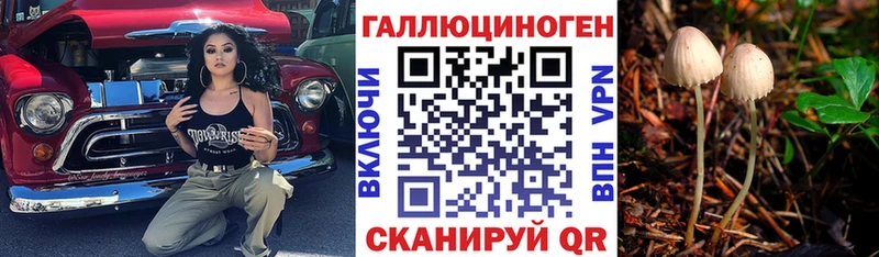 Галлюциногенные грибы Cubensis  Люберцы 